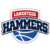 Landstede Hammers