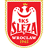 Σλέζα Βρότσλαβ (Γ)
