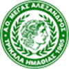 Μ. Αλέξανδρος Τρικάλων