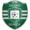 Μπράντου Μπόρτσα