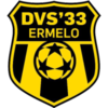 DVS 33