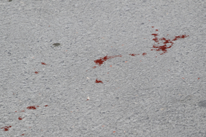 Χαλκίδα: Οκτώ οι συλλήψεις για τη δολοφονία του 23χρονου