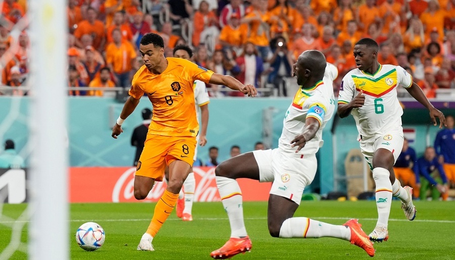 Σενεγάλη - Ολλανδία 0-2: Άγχος και «λύτρωση» στο φινάλε για τους «οράνιε» (video)