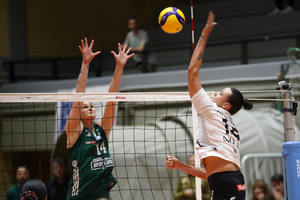 Ντέρμπι Παναθηναϊκός - ΠΑΟΚ στο Κύπελλο Γυναικών!