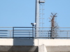ΠΑΟΚ - ΟΦΗ: Ένταση και χρήση χημικών έξω από το Πανθεσσαλικό!