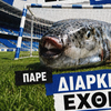 «Ο λαγοκέφαλος έφτασε στις παραλίες, εσύ ακόμα δεν έφτασες στο Καυτανζόγλειο;»: Η επική ανάρτηση του Ηρακλή για να προωθήσει τα διαρκείας