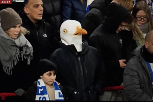 Απίστευτο: Οπαδός της Μπράιτον πήγε στο Άνφιλντ ντυμένος... γλάρος (pic)