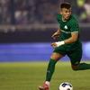Παναθηναϊκός - Γκρασχόπερς 3-0: Άρεσαν οι «πράσινοι» στη Λεωφόρο, έλαμψε ο Γιάγκουσιτς (video)