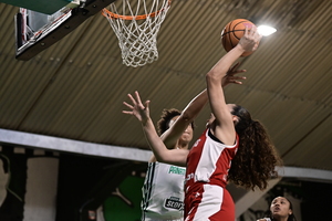 Ο Παναθηναϊκός κλήθηκε σε ακρόαση από την ΔΕΑΒ για τα όσα συνέβησαν στην αποστολή του τμήματος μπάσκετ γυναικών του Ολυμπιακού