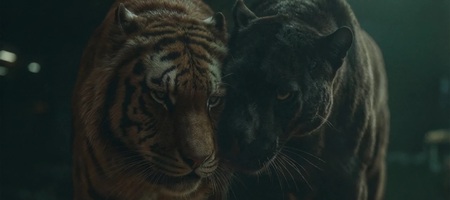 Όταν ο «Τίγρης» τα βάζει με ένα... Puma (video)