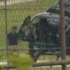 Νεϊμάρ: Με ελικόπτερο στο προπονητικό κέντρο της Βραζιλίας (video)