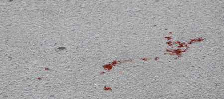 Χαλκίδα: Οκτώ οι συλλήψεις για τη δολοφονία του 23χρονου