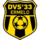 DVS 33