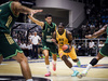 Παναθηναϊκός - ΑΕΚ 78-56: «Πράσινη» ανωτερότητα, «κιτρινόμαυρη» διαμαρτυρία (video)
