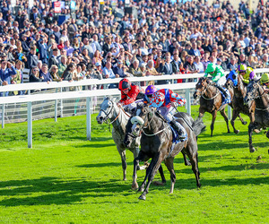 York Ebor Festival: Τα «βαριά χαρτιά» και οι ευκαιρίες του τριημέρου