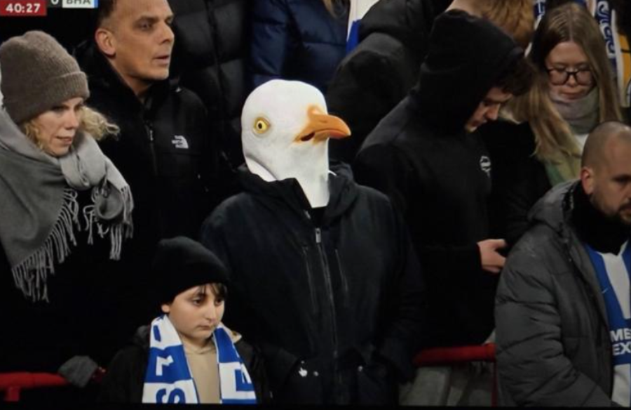 Απίστευτο: Οπαδός της Μπράιτον πήγε στο Άνφιλντ ντυμένος... γλάρος (pic)