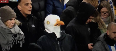 Απίστευτο: Οπαδός της Μπράιτον πήγε στο Άνφιλντ ντυμένος... γλάρος (pic)