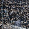 ΠΑΟΚ: Τα εισιτήρια του αγώνα με τη Θέλτα