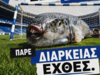 «Ο λαγοκέφαλος έφτασε στις παραλίες, εσύ ακόμα δεν έφτασες στο Καυτανζόγλειο;»: Η επική ανάρτηση του Ηρακλή για να προωθήσει τα διαρκείας