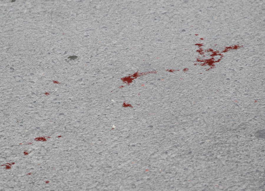 Χαλκίδα: Οκτώ οι συλλήψεις για τη δολοφονία του 23χρονου