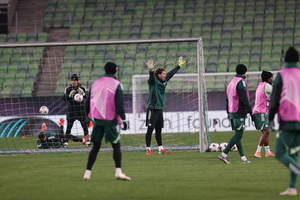 Παναθηναϊκός: Πολικές θερμοκρασίες την ώρα του ματς με τη Φερεντσβάρος